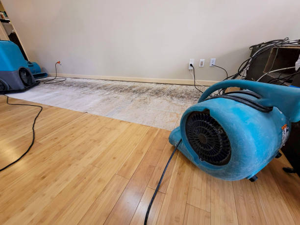 Professional Emergency Water Damage technician working in Warrior, AL